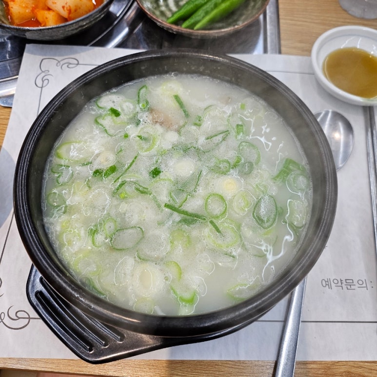 뽕이나무 이미지