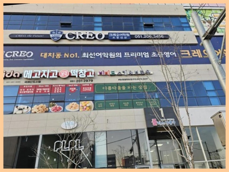 비비드 스킨 앤(&) 브로우 이미지