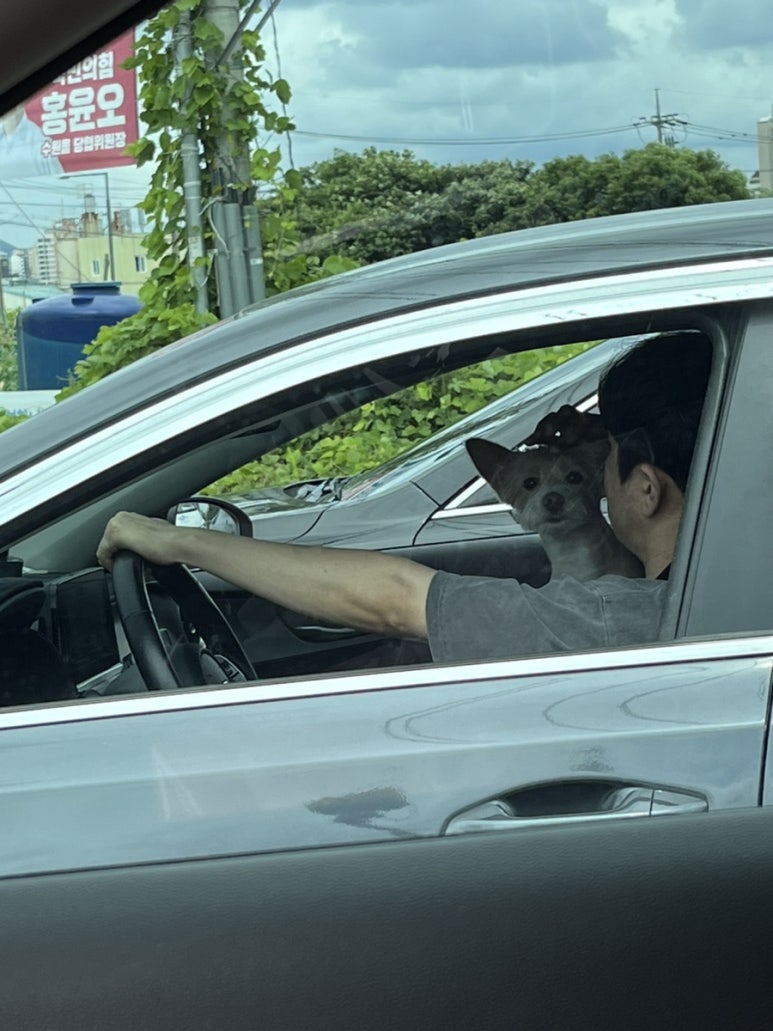 할리스 아주대병원점 이미지