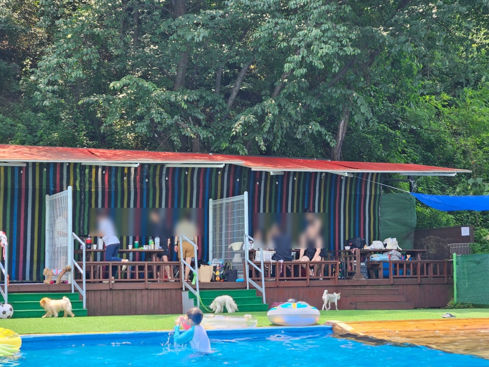 용인 애견 수영장, 취사 가능한 골드펫앤도그베이 — 사진 11