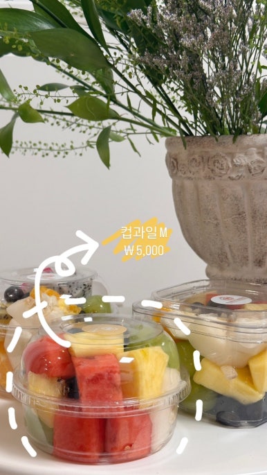 프루츠가든 이미지