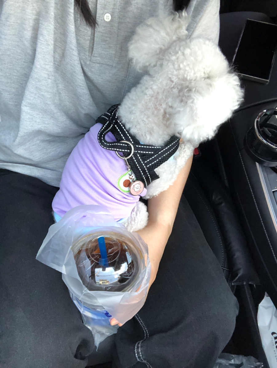 빽다방 울산남목초교점 이미지