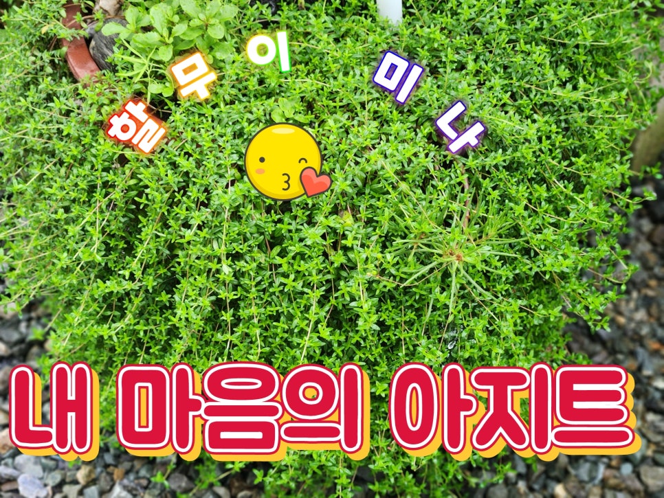 내 마음의 아지트 이미지