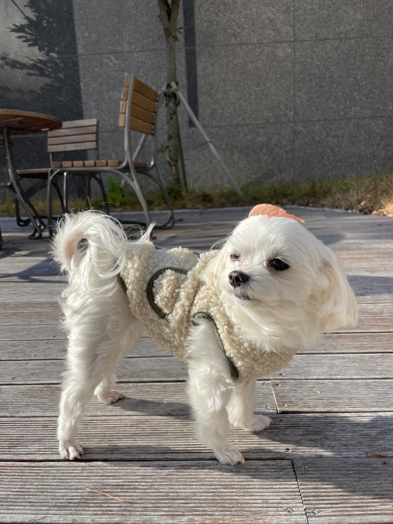 꽁이옷장 이미지