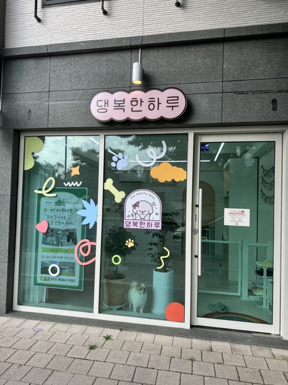 댕복한하루 이미지