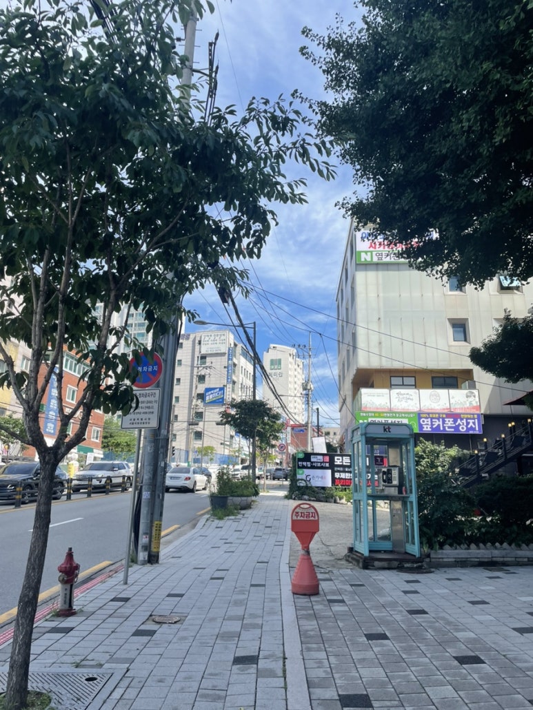 오늘부터디데이마카롱 이미지