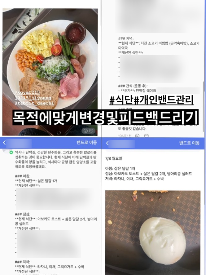 탭핏대치 이미지