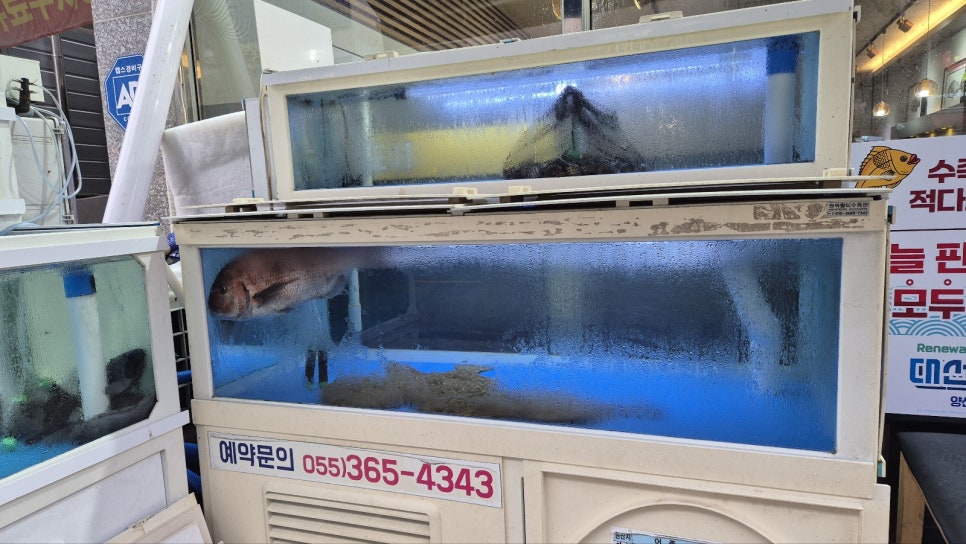 증산횟집 이미지