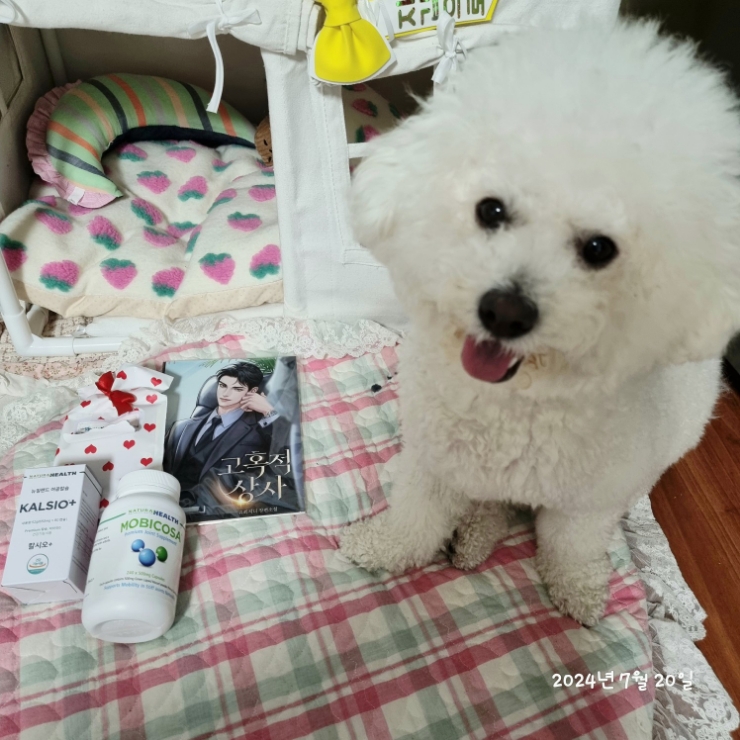 지니상사 이미지