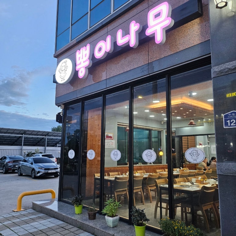 뽕이나무 이미지