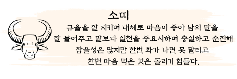 소풍여행사주 이미지