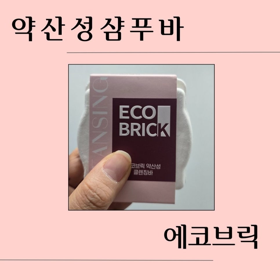 트립위드앤 이미지