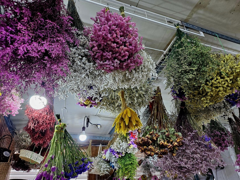 도깨비수입코너 이미지