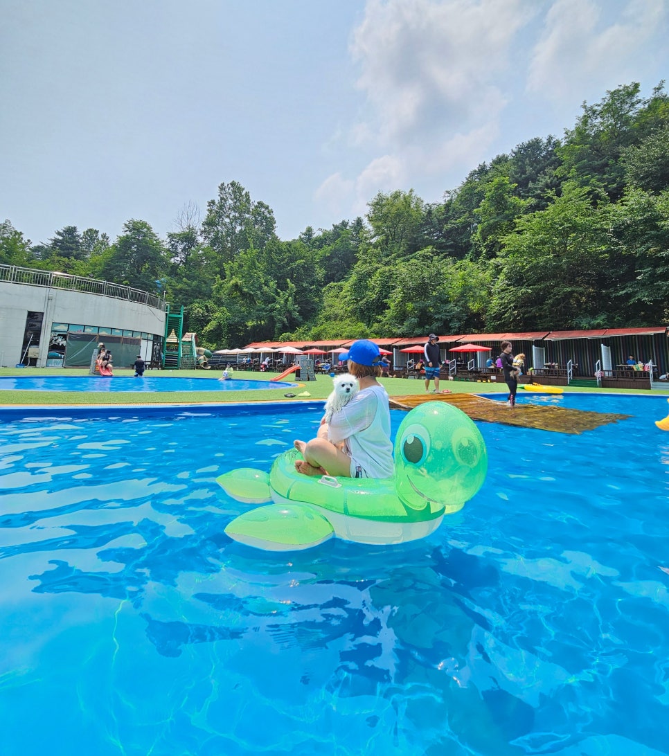 용인 애견 수영장, 취사 가능한 골드펫앤도그베이 — 사진 16