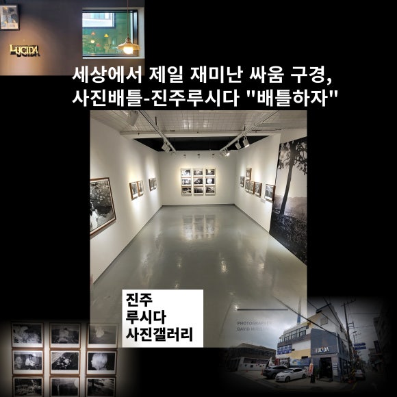 갤러리루시다 이미지