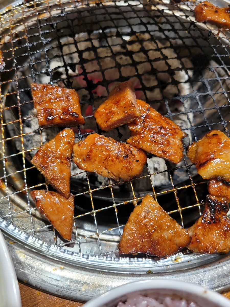고기싸롱구리 이미지