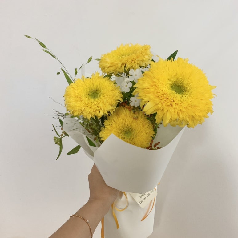 해바라기 취업 이미지