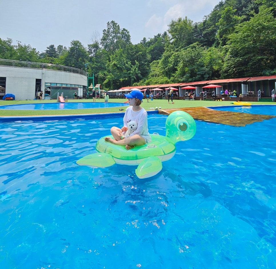 용인 애견 수영장, 취사 가능한 골드펫앤도그베이 — 사진 7