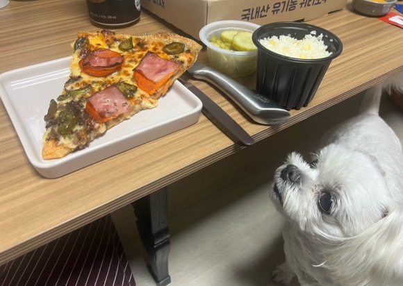 르블루피자 동탄점 이미지