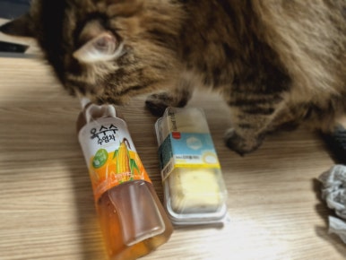 한미짬뽕 이미지
