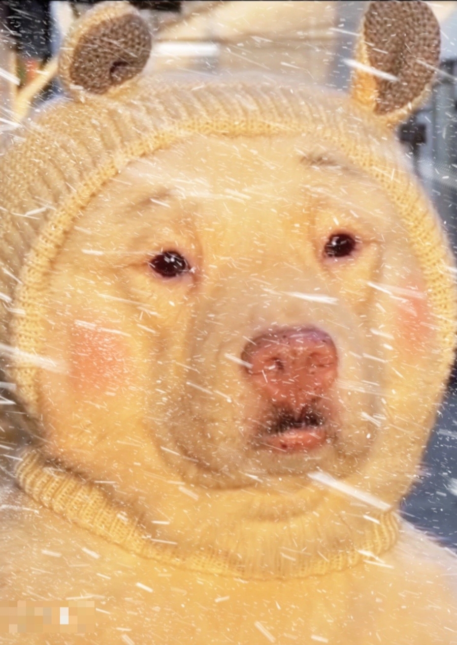 물라PC방 이미지