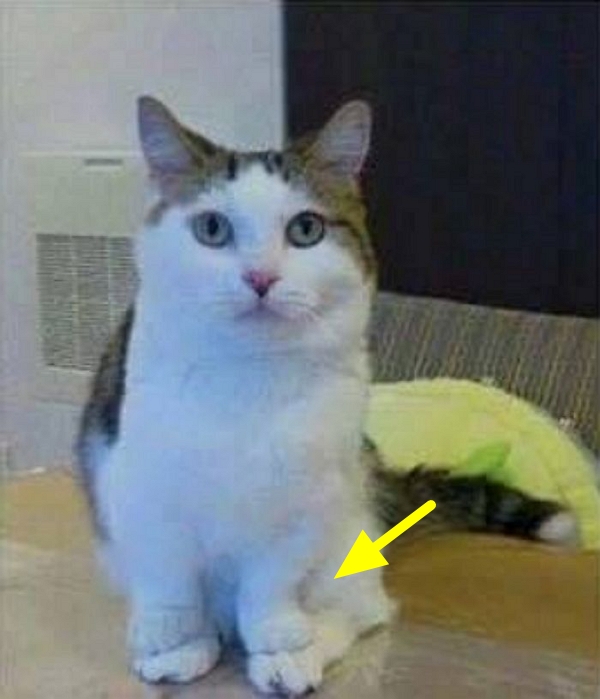 깔깔깔 이미지