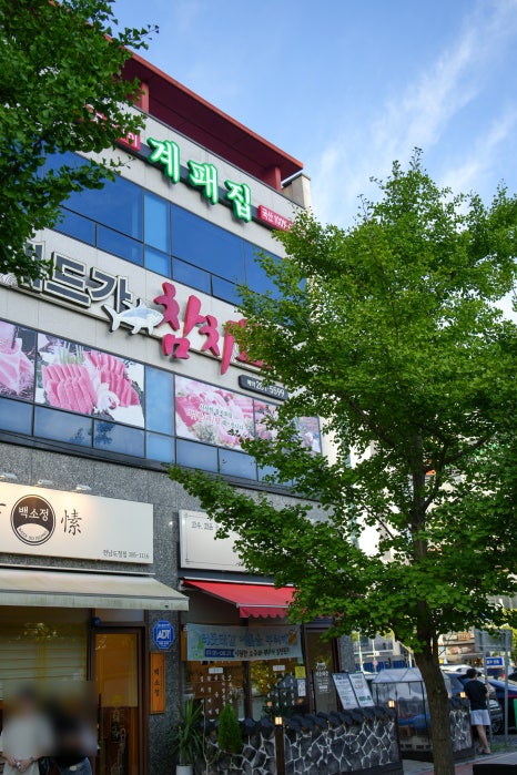 계패집 이미지
