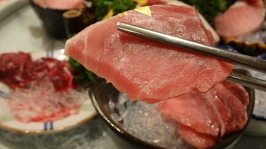 군참치 이미지