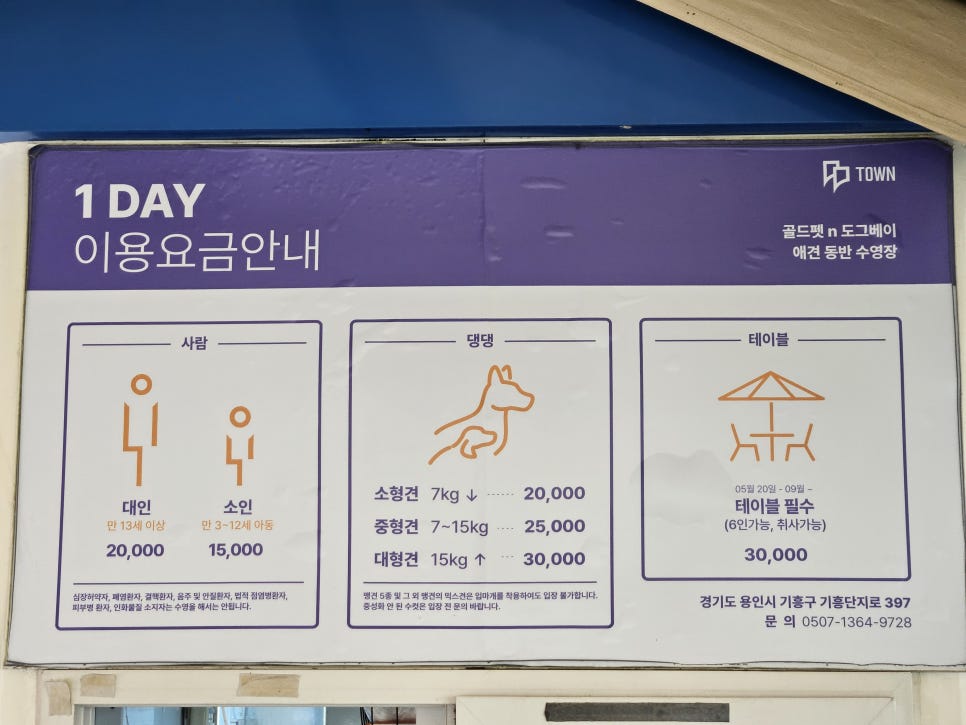 용인 애견 수영장, 취사 가능한 골드펫앤도그베이 — 사진 3