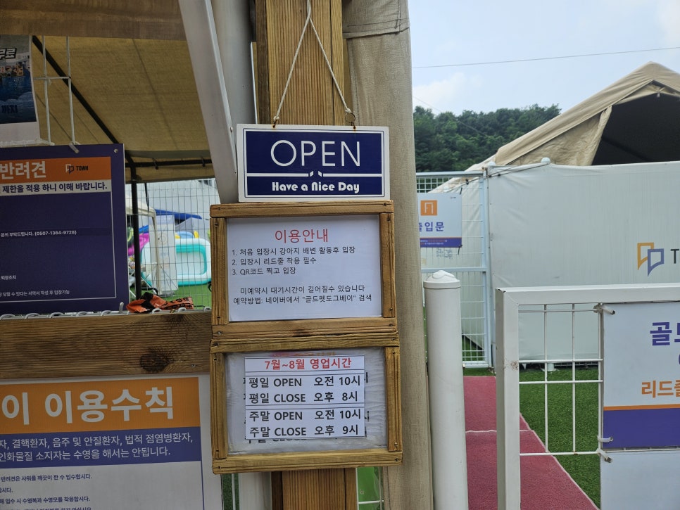 용인 애견 수영장, 취사 가능한 골드펫앤도그베이 — 사진 2