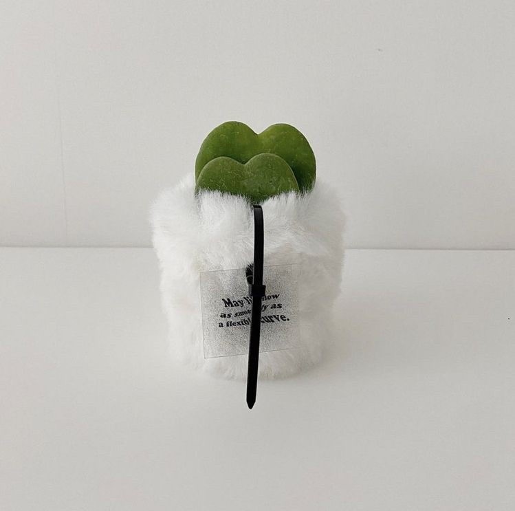 살롱지은 이미지
