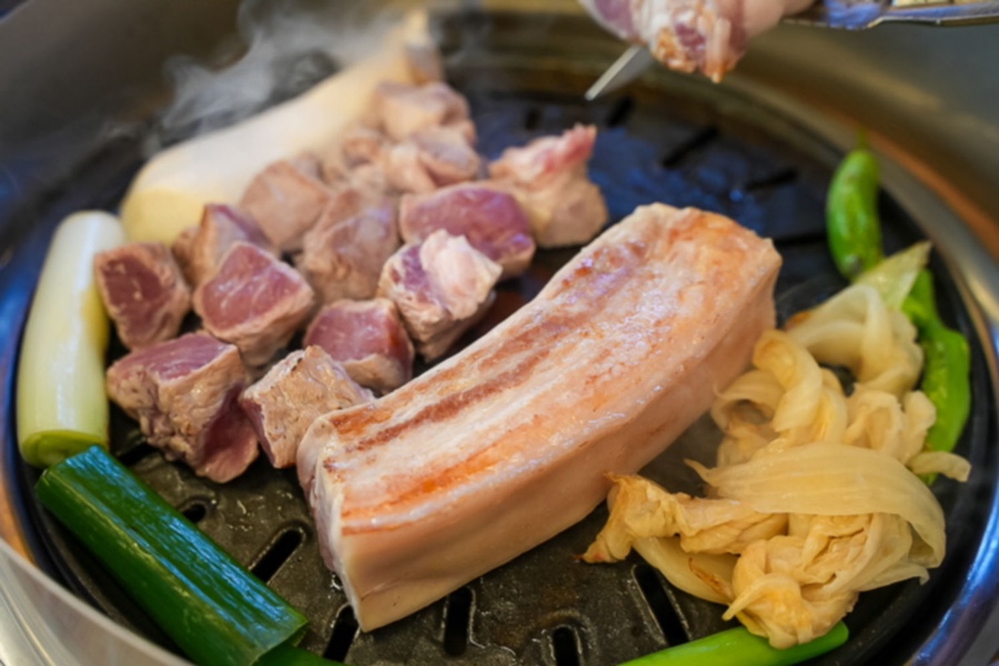 야돼지다 이미지