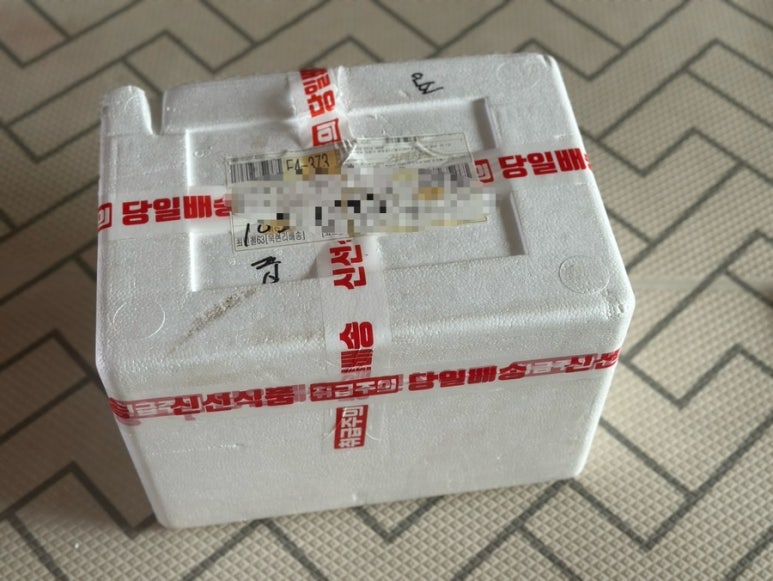 버틀럽 이미지