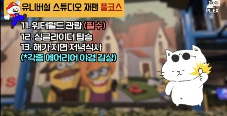 플랙스캣 이미지