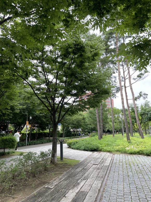 숲길 이미지