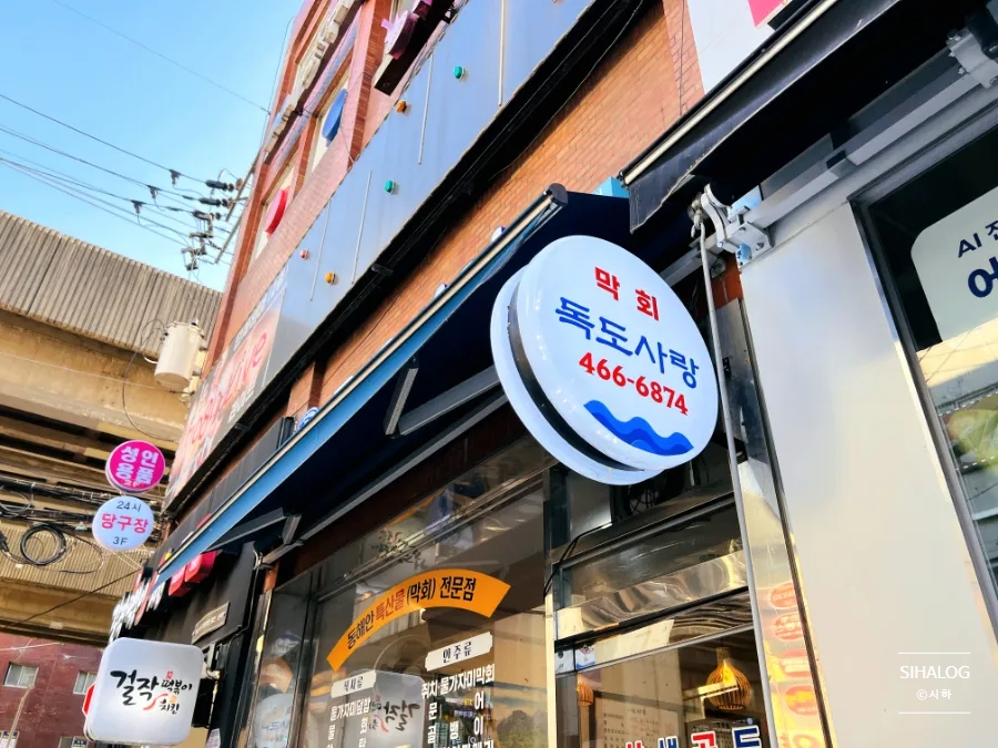 독도막회 이미지