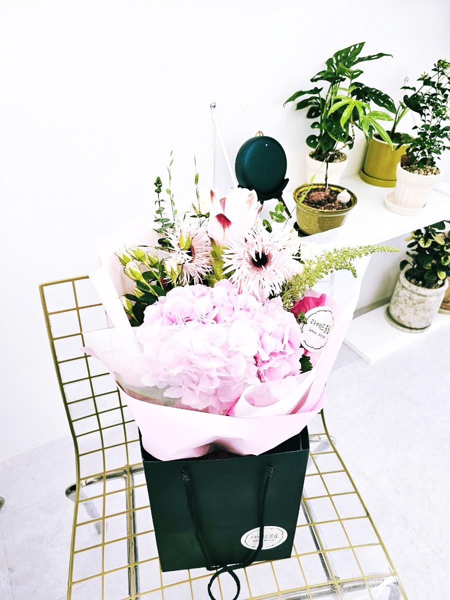 라메르블룸 이미지