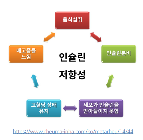 에이치미르 이미지