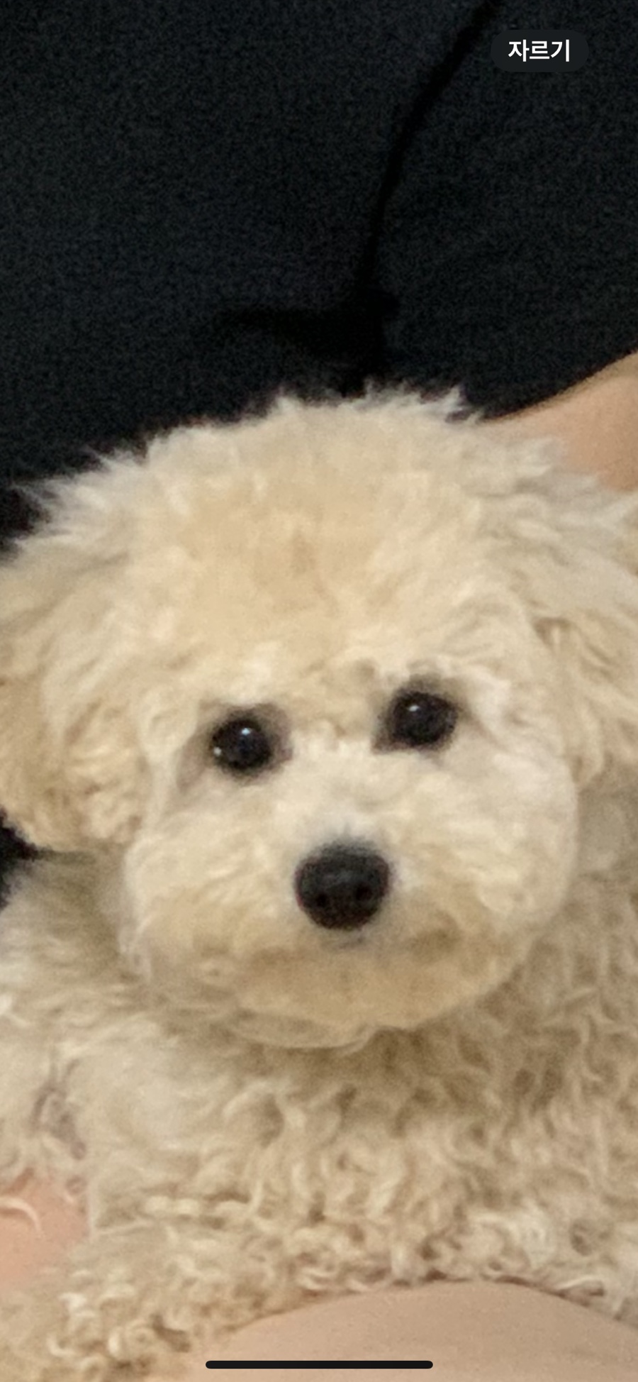 멋짱이 이미지