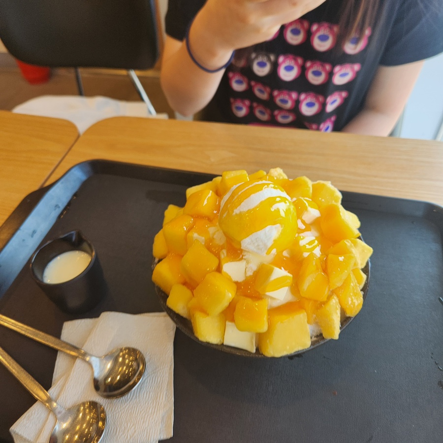 까치노래짱 이미지