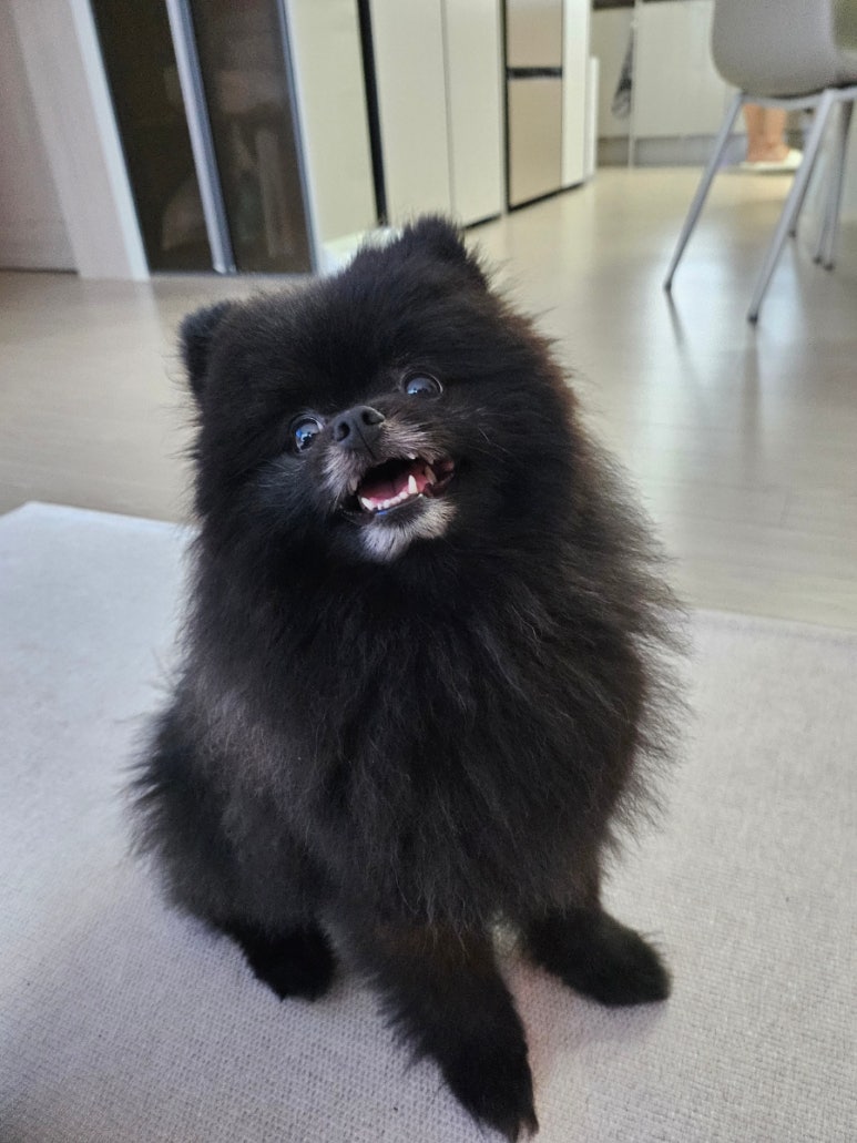 북성로우동돼지불고기식당 이미지