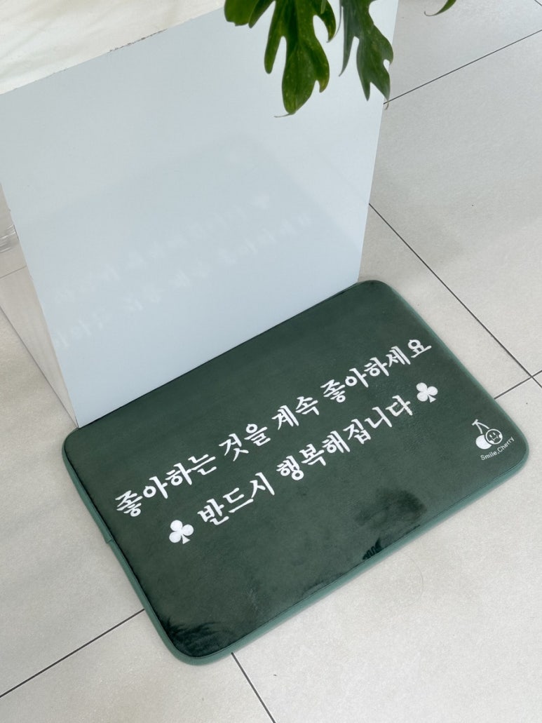 인커브 이미지