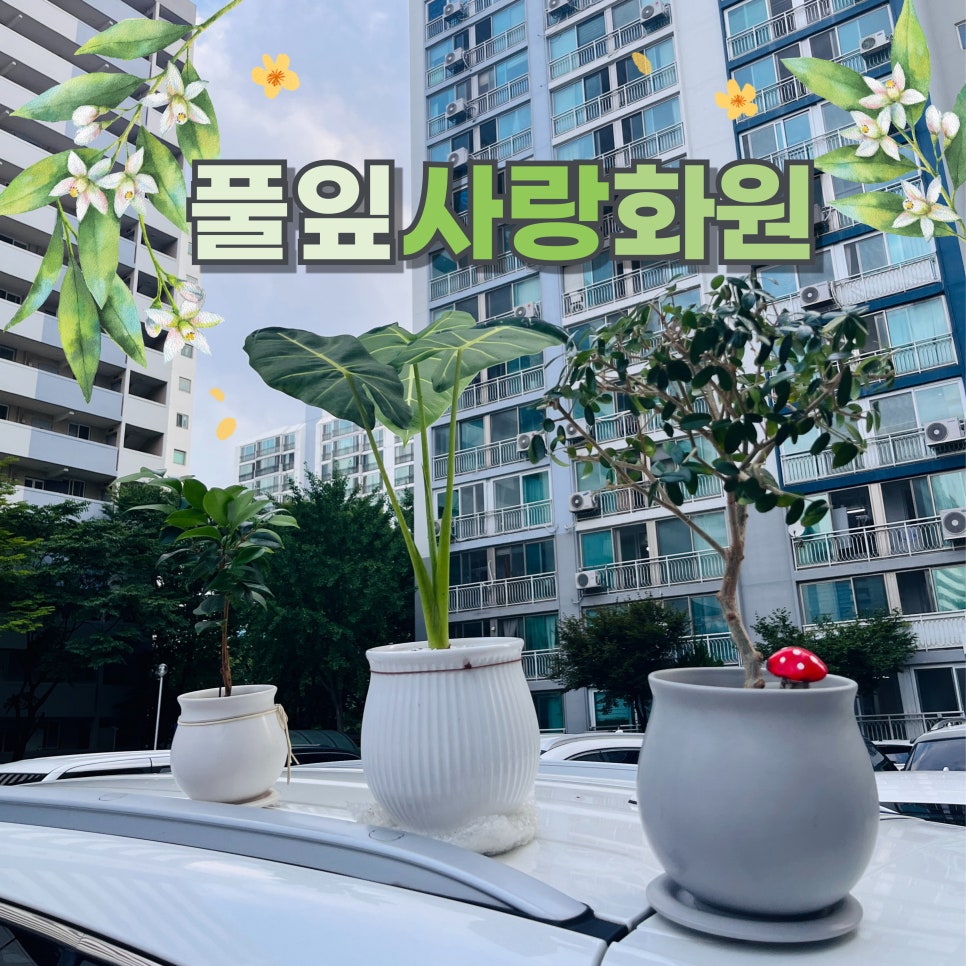 풀잎사랑화원 이미지