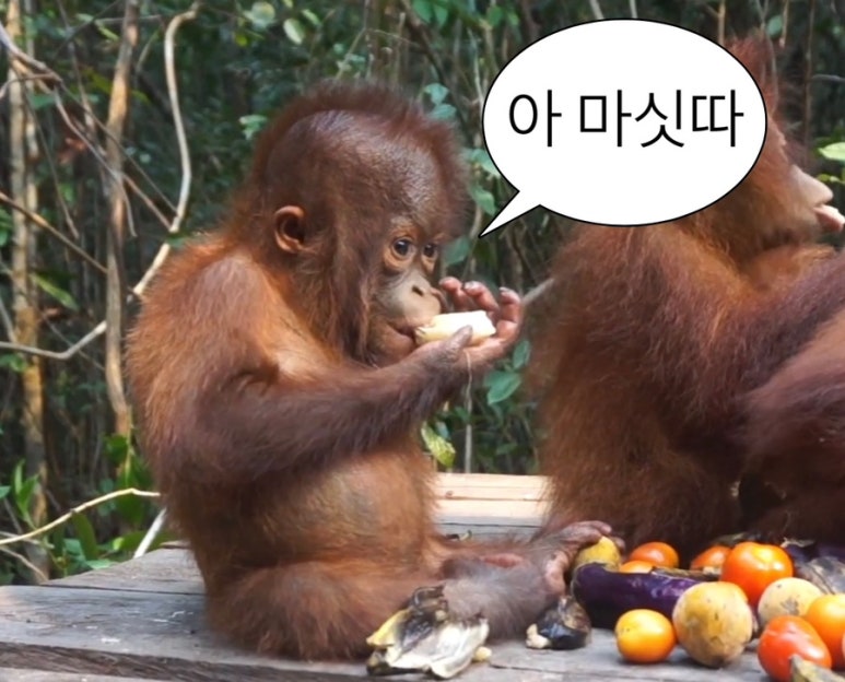 김밥까페 이미지