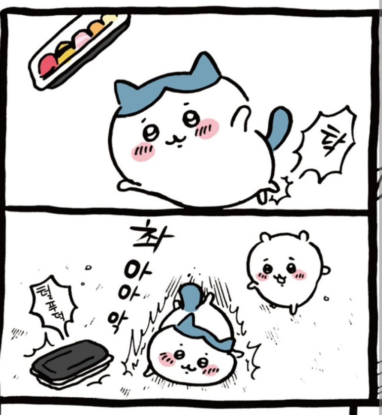 아정 이미지