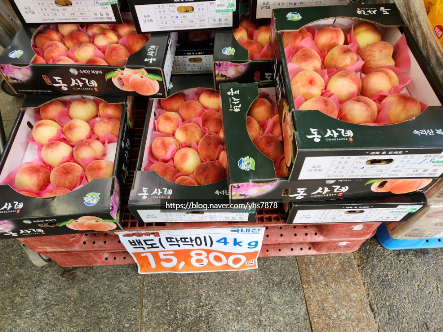 와이식자재마트 이미지