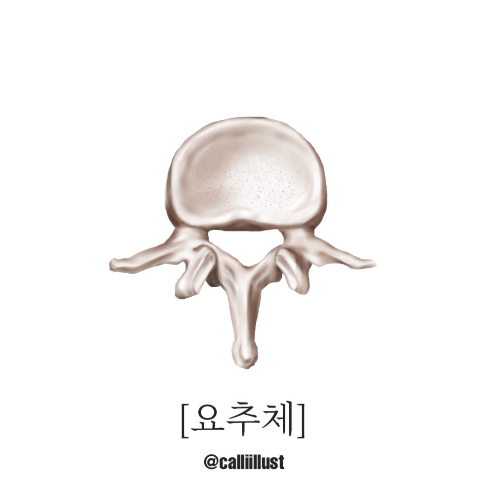 핌한의원 이미지