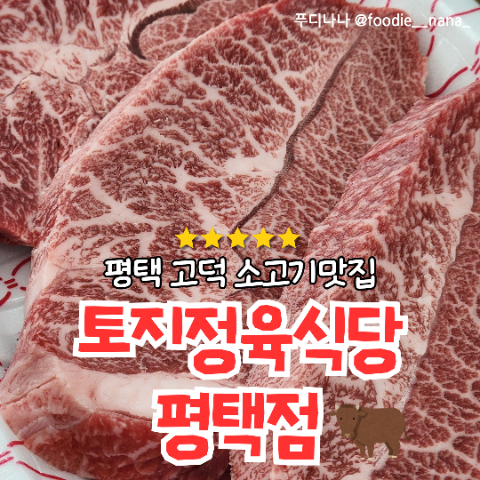 토지정육식당 이미지