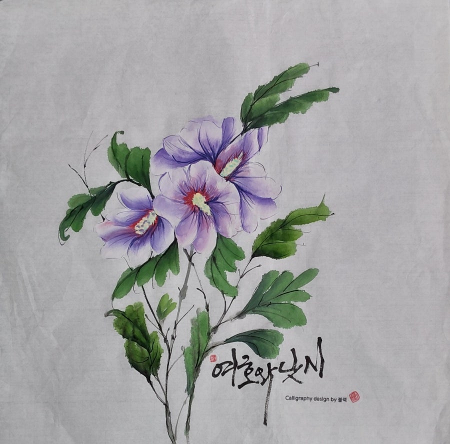닛시아트 이미지