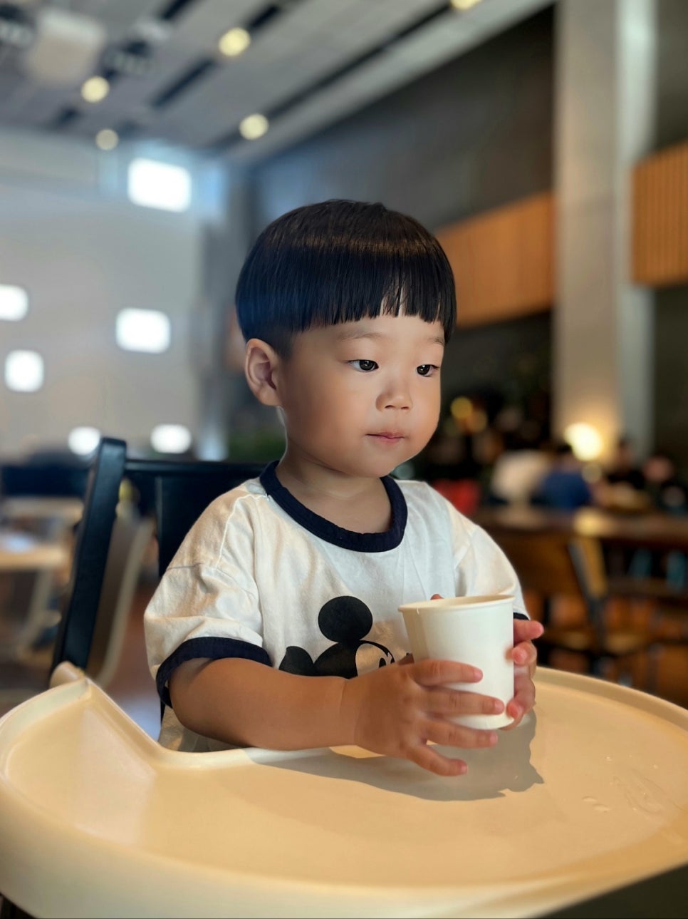 델피노 키즈클럽 이미지